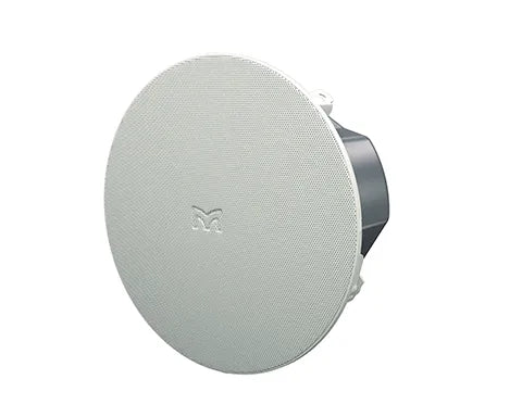 Ceiling / Build-In Speakers
