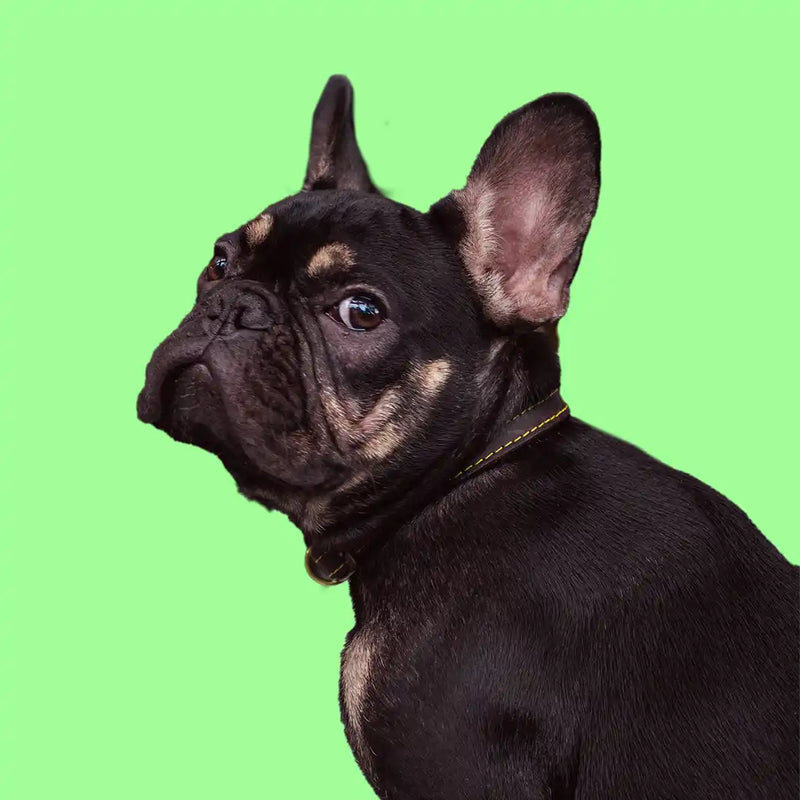 multicolumns-item-image-4