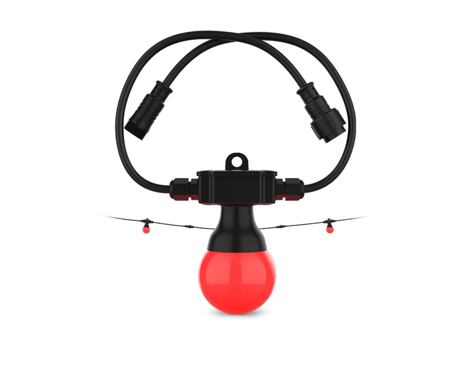 CHAFEST2E - CHAUVET DJ Festoon 2 RGB EXTENSION 20 Lamp 15m Extension Decor String Image 1