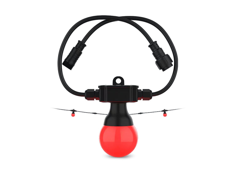 CHAFEST2E - CHAUVET DJ Festoon 2 RGB EXTENSION 20 Lamp 15m Extension Decor String Image 1