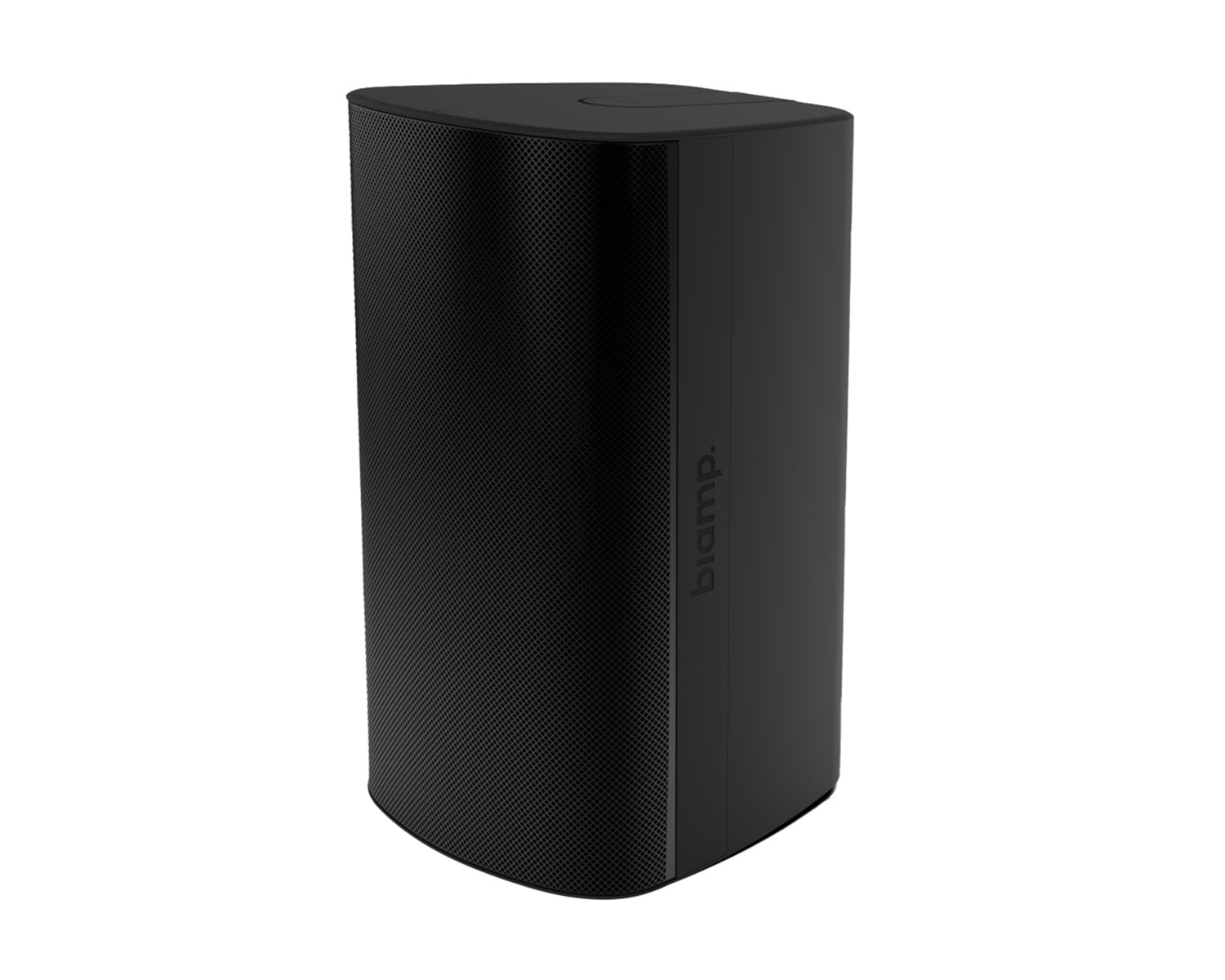 BIAEXS10STB - Biamp EX S10SUB 10inch IP54 Surface Mount Sub with Tilt Bracket Black Image 1