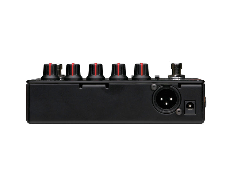 RADPZDEL - Radial PZ Deluxe Acoustic Instrument Preamp Image 4
