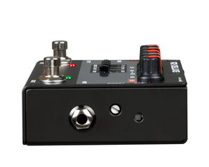 RADPZDEL - Radial PZ Deluxe Acoustic Instrument Preamp Image 6