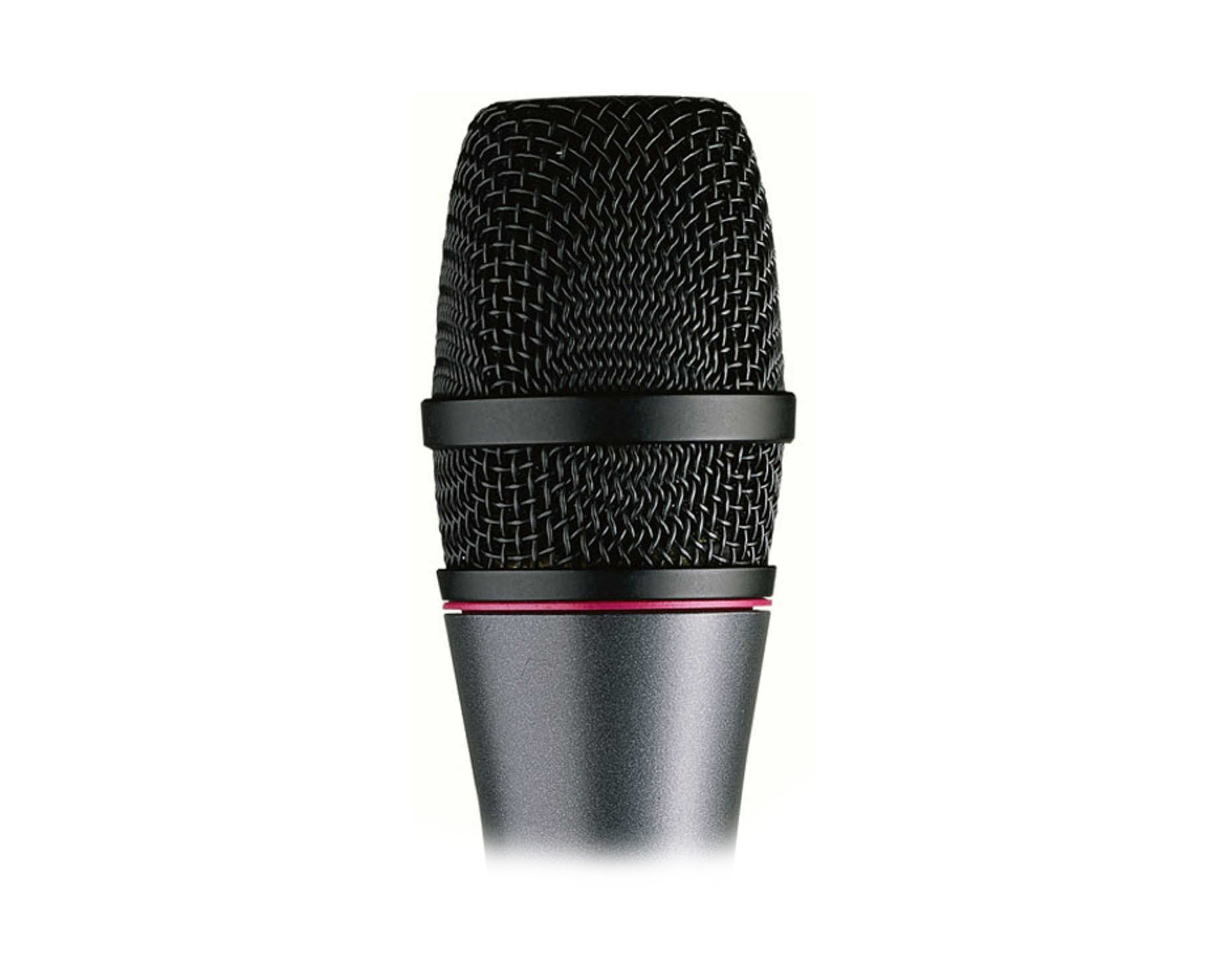 SENE865S - Sennheiser e865S Electret Condenser Supercardioid Microphone with Switch Image 2