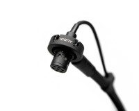 Audix MICROD Miniature Instrument Mic for Drums and Percussion - Image 1