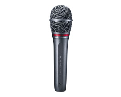 AE6100 Hypercardioid Dynamic Vocal Microphone